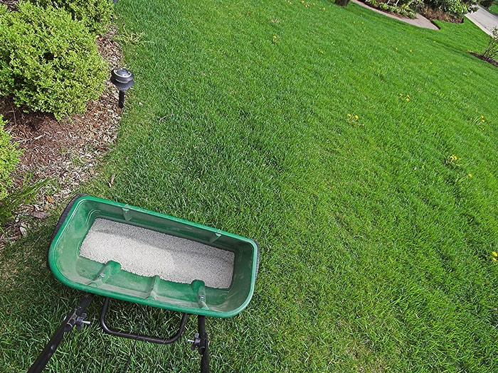 green fertilized lawn