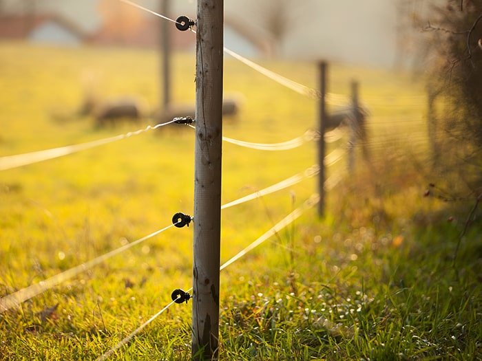 electric fencing with wood posts