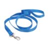 Coastal Pet Products 6ft L 1 in W Dog Leash - Blue Lagoon