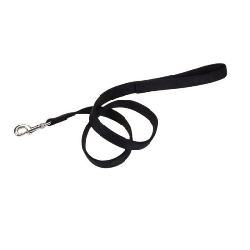 Coastal Pet Products Large Breed 2-Ply 4ft Dog Leash - Black