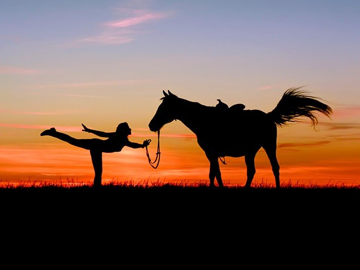 Horse and Person Sillouettes in field at Sunset