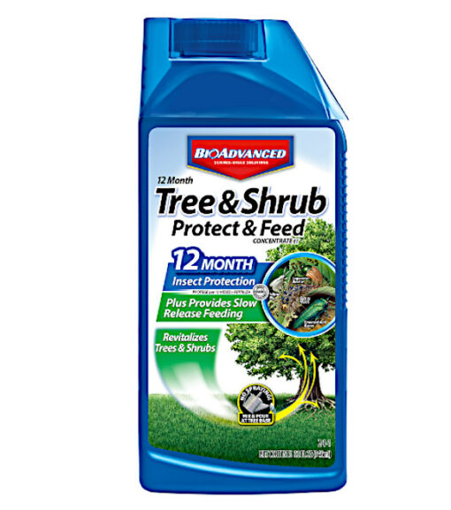 BioAdvanced Tree & Shrub Insect Protection & Feed Concentrate, 32 oz.