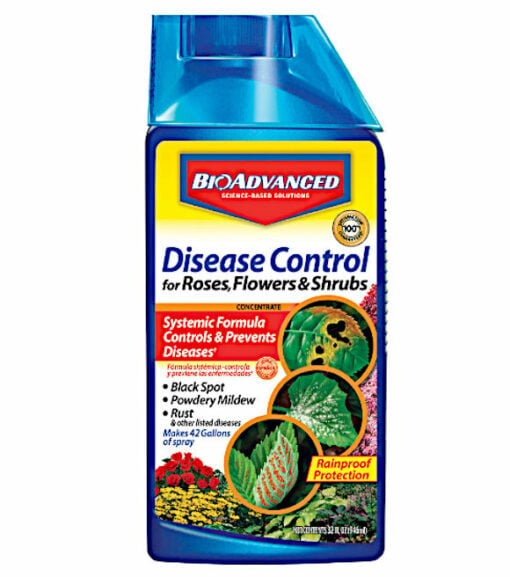 BioAdvanced Disease Control for Roses, Flowers & Shrubs Concentrate, 32 oz