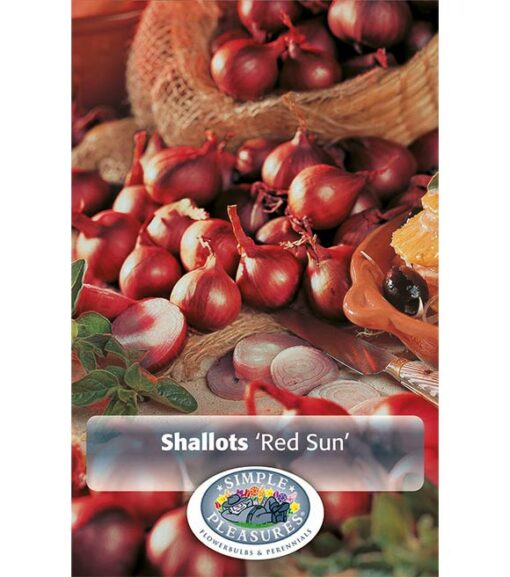 Shallots Red Sun