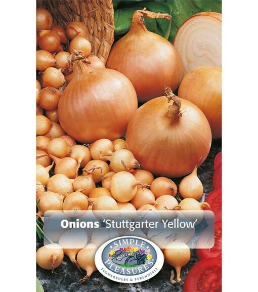 Onion Yellow (Stuttgarter)