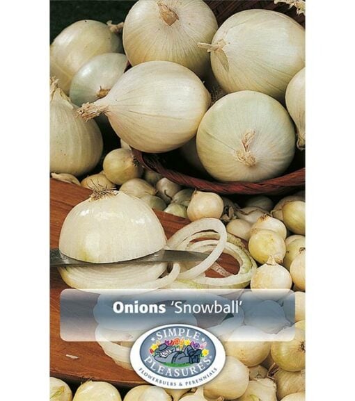 Onion White (Snowball)