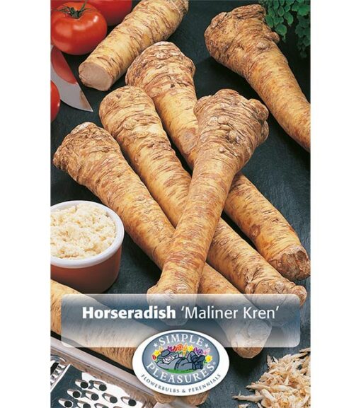 Horseradish Maliner Kren