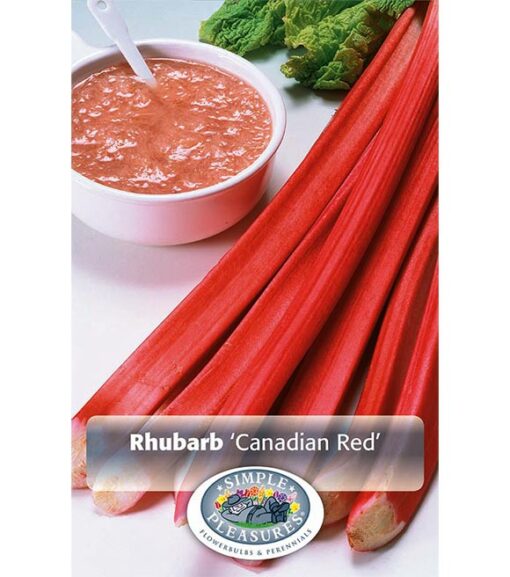 Rhubarb Canadian Red