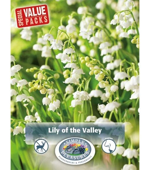 Convallaria Lily of the Valley 