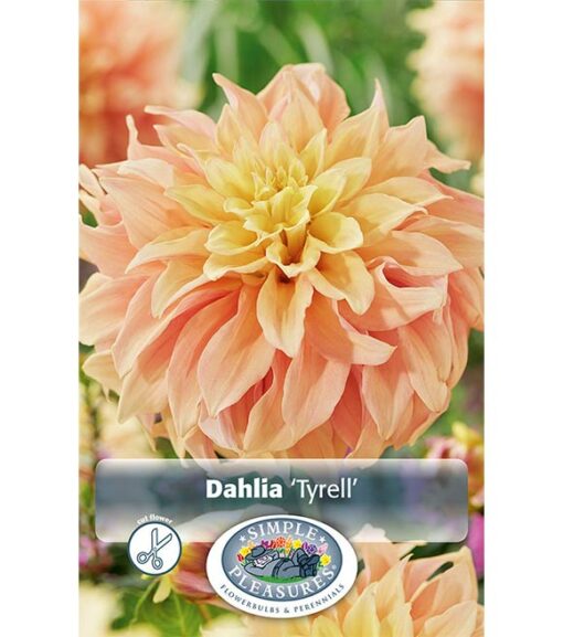 Dahlia Tyrell