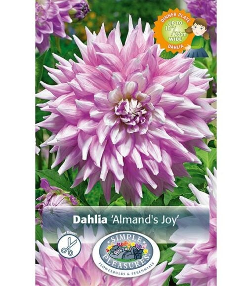 Dahlia Almand's Joy