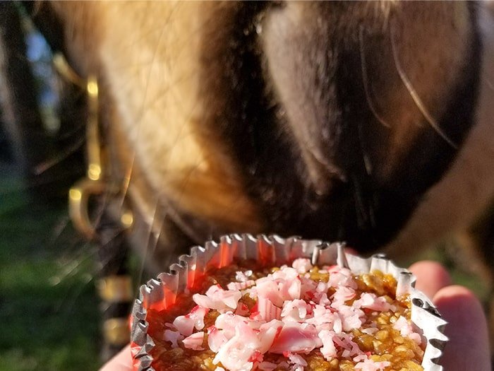 Homemade Peppermint Horse Treats - Valentines Day Treats for your Horse by Skylar