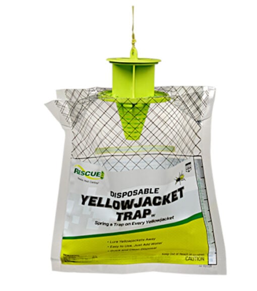 Rescue! Yellow Jacket Trap, Disposable