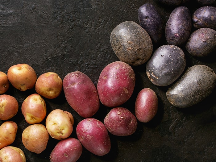 Colorful potatoes on dark background