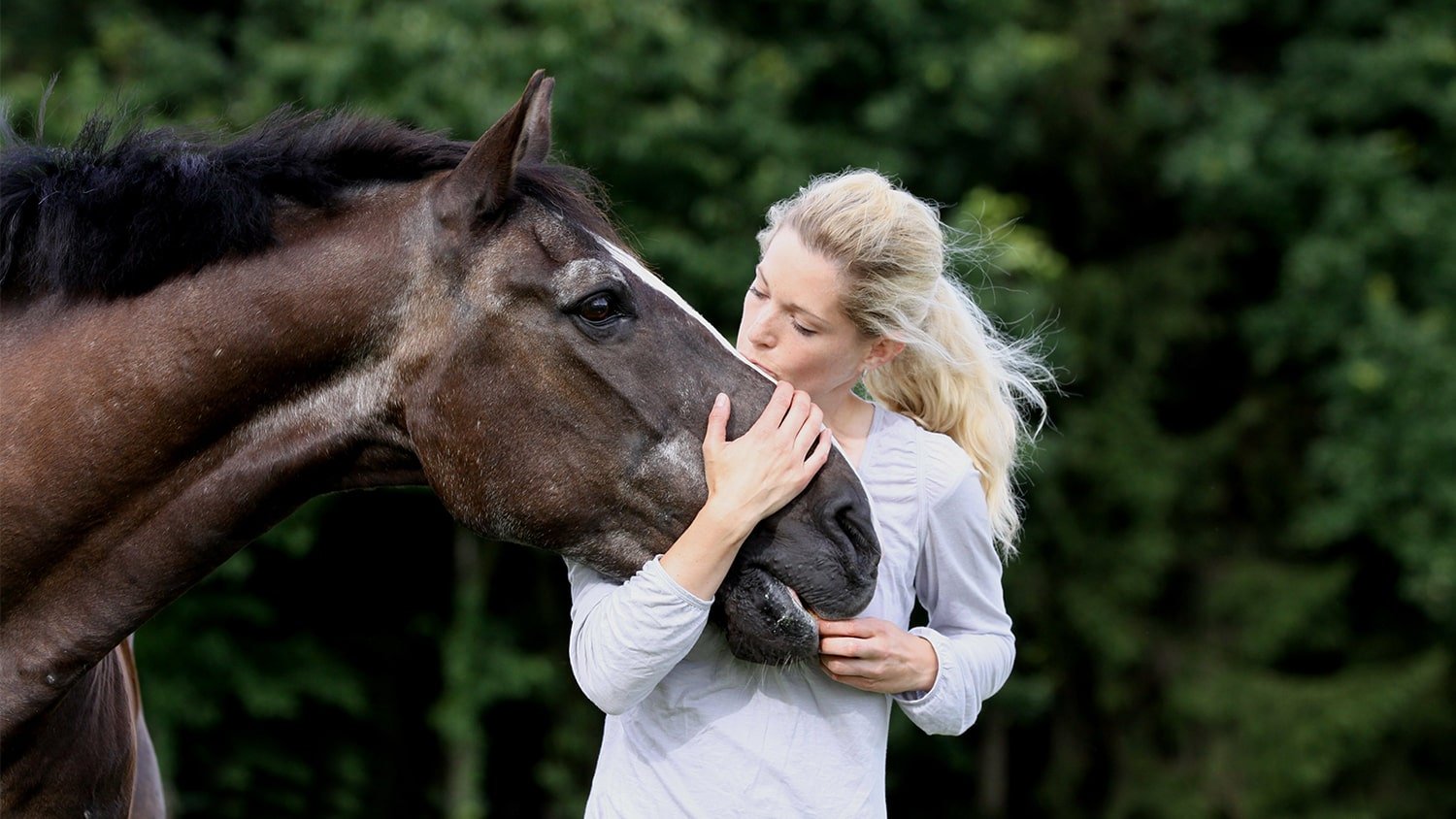 woman kissing horse on nose