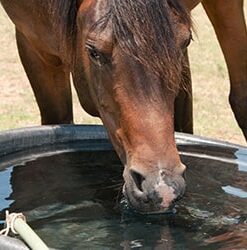 Wilco Product Category Stock Tanks & Watering