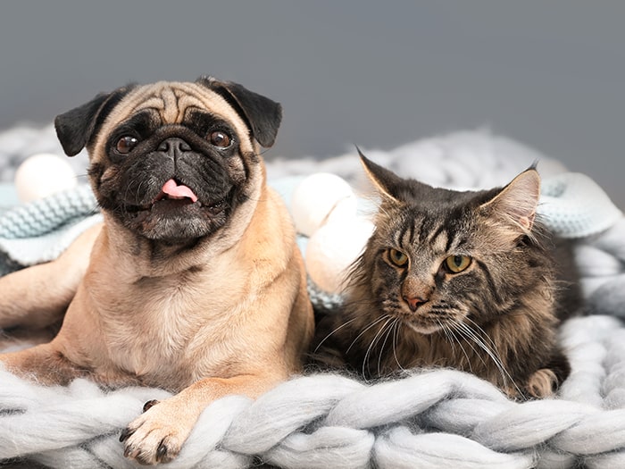 Events Wilco Farm Stores