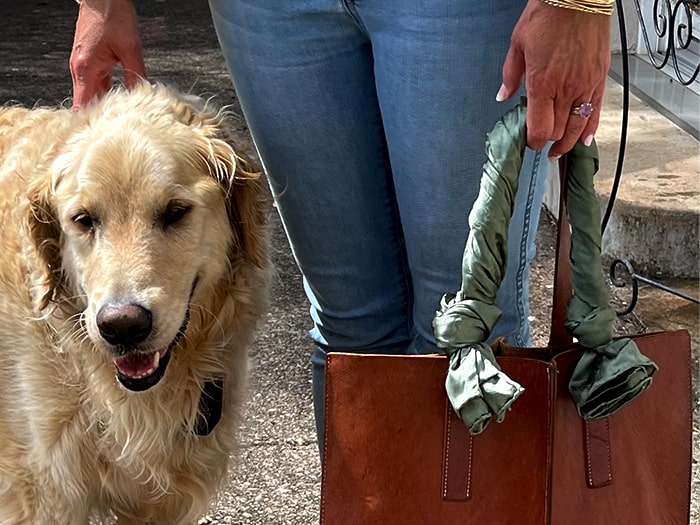 Dog, Woman, Holding Purse with Bandana on the Handle