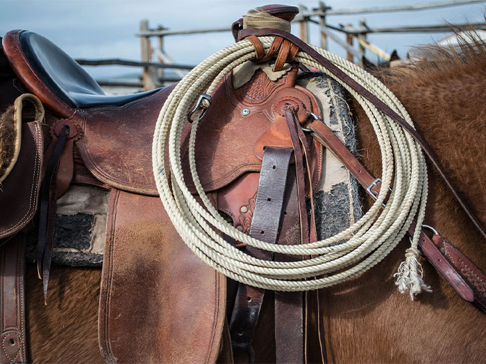 Leather tack care guide