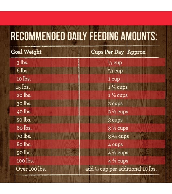 Merrick 2024 feeding guide