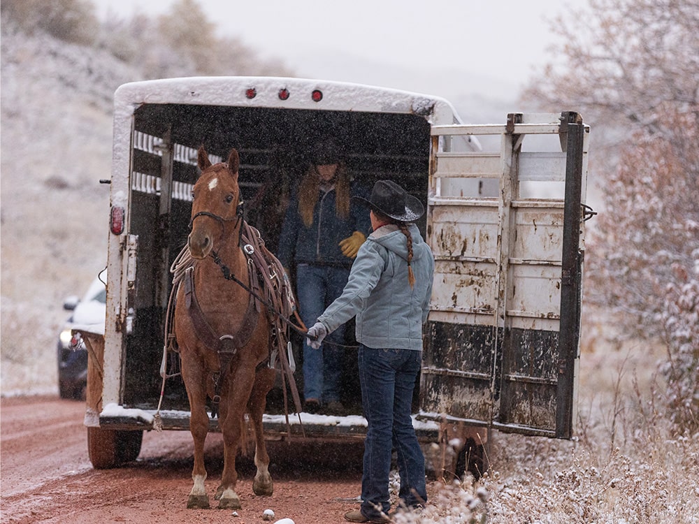 Cowgirls Unloading Horses in the Snow