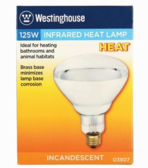 Westpointe - 15W Compact Fluorescent Flood Light Bulb Equivalent