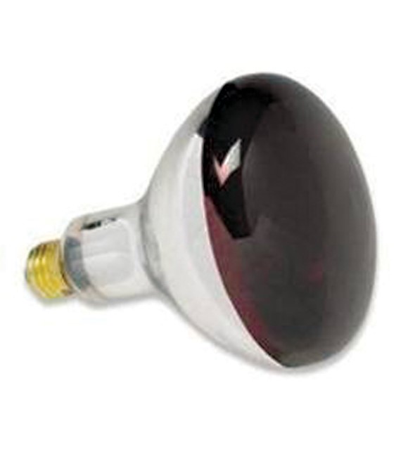 R40 250W Red Heat Lamp Bulb, 2 Pack