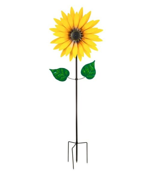 洋楽 Windflower 洋楽 Windflower 洋楽 Windflower Wind Flower: Amazon.ca: Musique