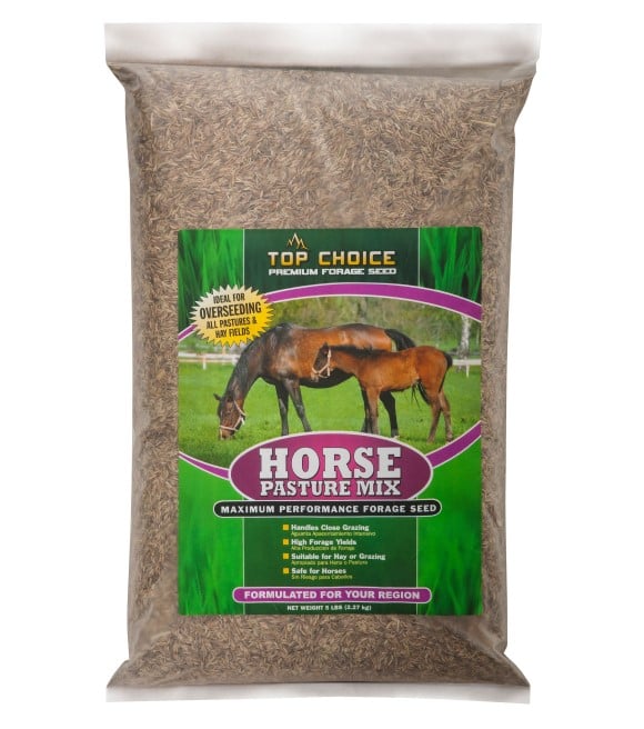 Top Choice, Horse Pasture Mix Blend Bravo, 5 lb