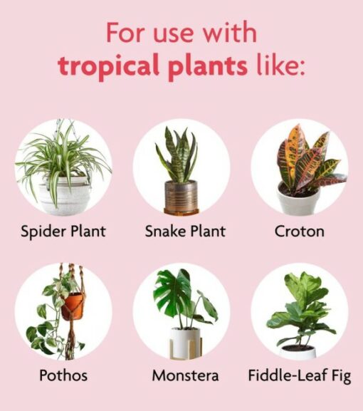 MiracleGro, Tropical Potting Mix, 6 qt Wilco Farm Stores