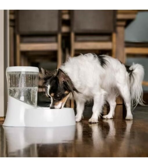 Petmate, Fresh Flow Rain Fountain, 44069 Wilco Farm Stores