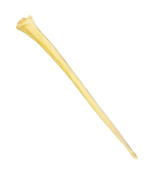 QT Dog, Water Buffalo Tail Dog Treat Wilco Farm Stores