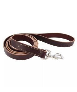 Coastal Pet Products, Circle T 6' Latigo Leather Dog Leash, 02065 LAT06