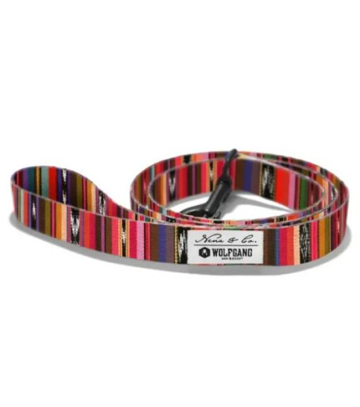 Antigua 2025 dog collar