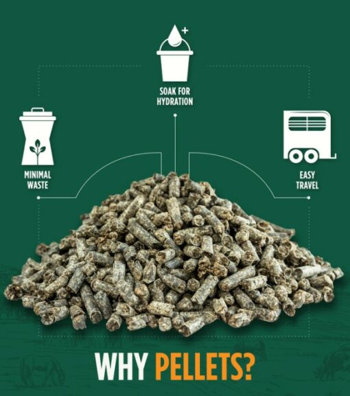 Standlee, Smart Beet Pulp Pellet, 40 lb Wilco Farm Stores