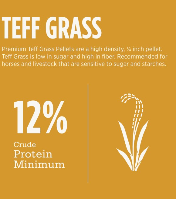Standlee, Premium Teff Hay Pellets, 40 lb