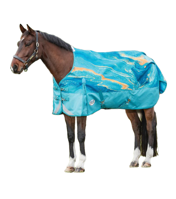 Weatherbeeta Comfitec Plus Dynamic II Detach-A-Neck Turnout Medium CLO