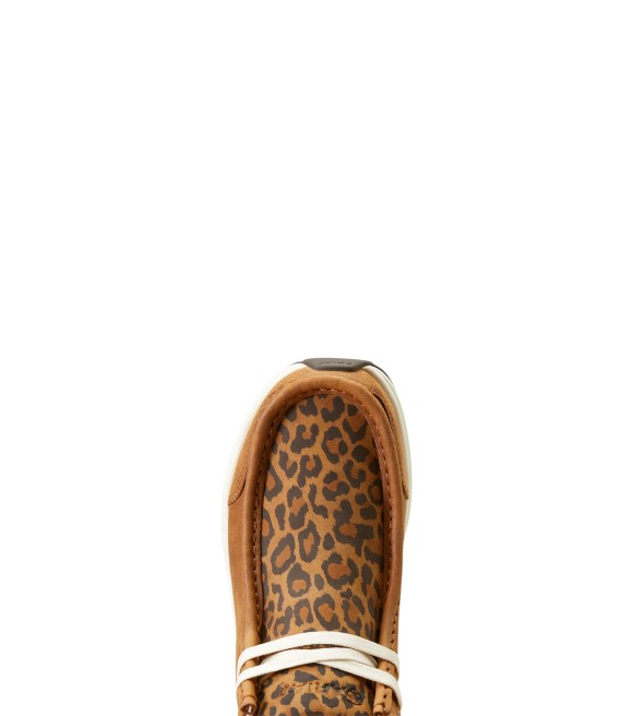 Ariat, Ladies Cheetah Print Spitfire Shoe, 10046942