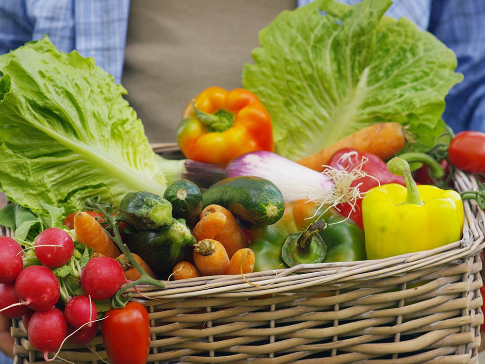 Basket of freshly harvested produce