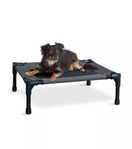How to Keep My Dog off the Outdoor Furniture: Easy Effective Tips