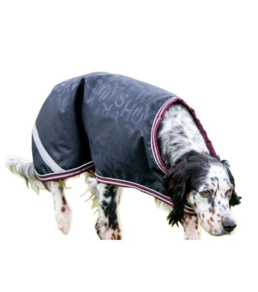 Horseware Ireland, Navy & Burgundy Amigo Ripstop Waterproof Dog Coat