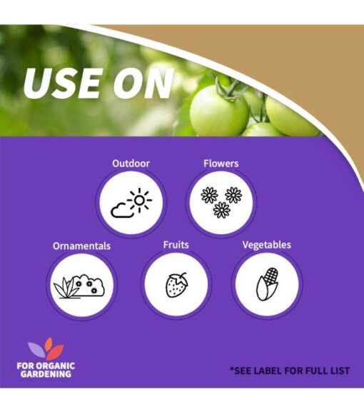 Bonide, Captain Jack's Copper Fungicide Spray, 32 oz Wilco Farm Stores