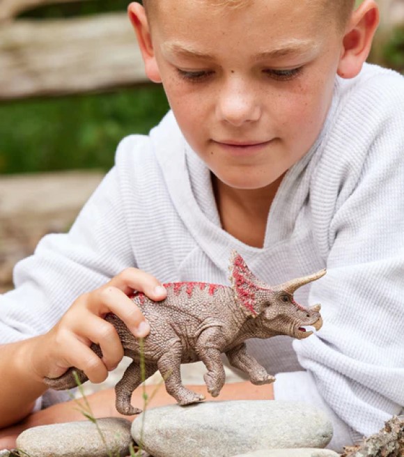 Schleich, Toy Triceratops Figure