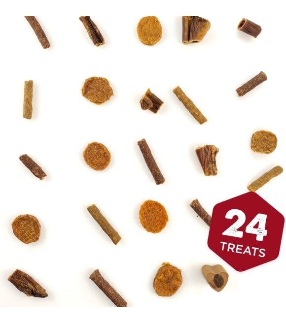 Barkworthies, Deck the Paws Holiday Dog Treat Advent Calendar Wilco