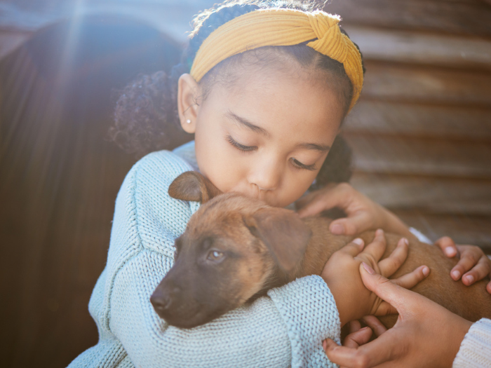 Little girl in white sweater hugging brown puppy.