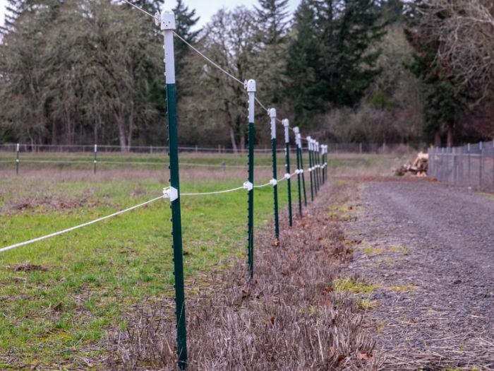 Green t-posts fencing with white caps along green grass and dirt road.