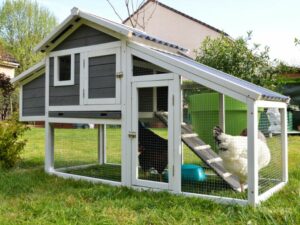 A small grey chicken coop with white trim in a backyard farm.