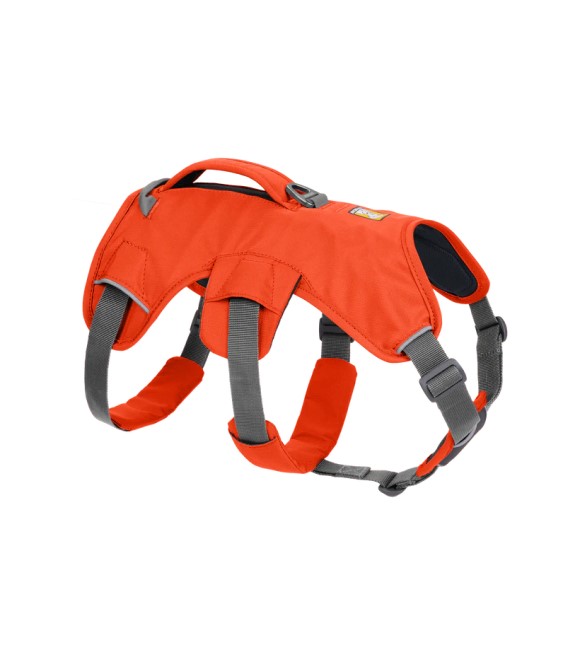 RuffWear, Orange Web Master Dog Harness with Handle - Wilco Farm Stores