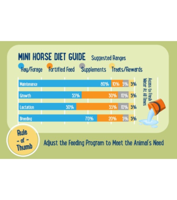 Manna Pro, Farmhouse Favorites Mini Horse & Mini Donkey Treats, 3 lb