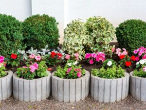A row of DIY concrete planters in a garden.